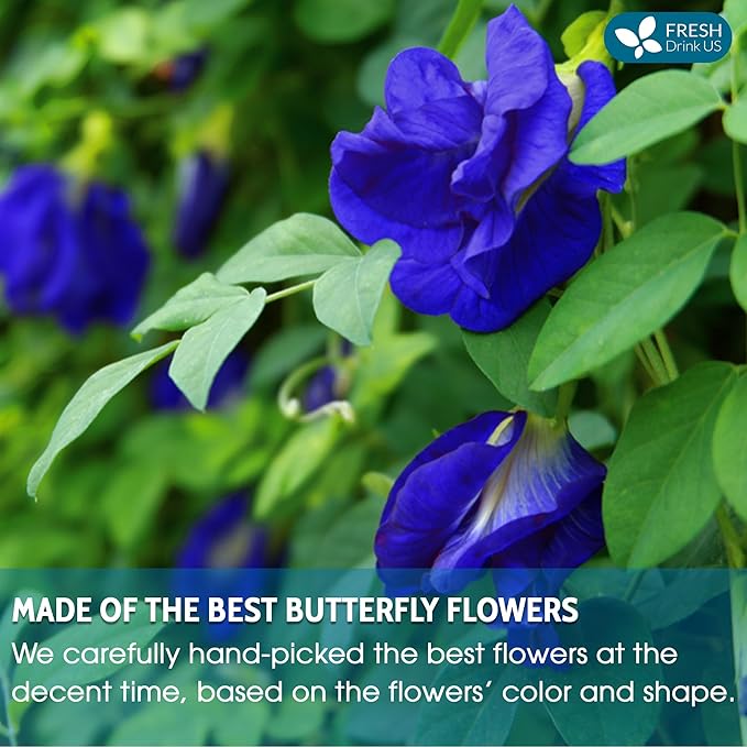 FreshDrinkUS, Premium 8oz Butterfly Pea Flowers, 100% Natural & Pure from Whole Butterfly Pea Flowers Leaves, Wildcrafted, Blue Butterfly Pea Flowers Loose Leaf Herbal Tea, No Gluten, Vegan