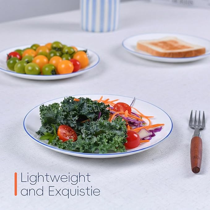 LaGlint 8.5 inch Salad Plate Set of 6, Lightweight Opal Glass Round White Plates for Appetizer Dessert Kitchen, Dishwasher and Microwave Safe, Hand Painted Navy Blue Rim
