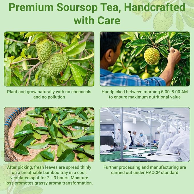 Soursop Leaves Tea Bags, Premium Soursop Graviola Leaves Herbal Tea, Pure & Natural Soursop Leaves for Digestion, Support Healthy Skin & Sleep, No Additives, Caffeine Free (100 Bags/2 Pack)