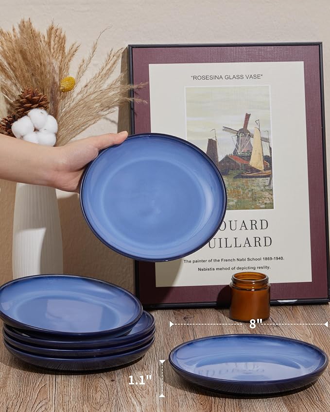 Pokini Ceramic Plates Set of 6, 8.0 Inch Reactive Glaze Dessert Plates, Modern Dinnerware Dishes Set for Kitchen, Microwave & Dishwasher Safe, Scratch Resistant-Light Blue