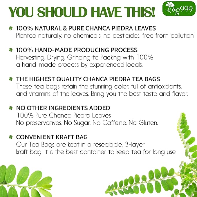 TOG999, Premium 60 Chanca Piedra Leaf Tea Bags, 100% Natural & Pure from Chanca Piedra Leaves. Loose Leaf Chanca Piedra Herbal Tea. Made with Natural Material Tea Bags. No Sugar, No Caffeine, No Gluten, Vegan.
