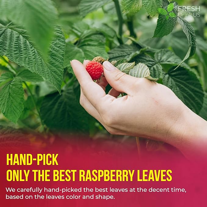 FreshDrinkUS, 75 Bags Premium Raspberry Leaf Teawith Chamomile Flavor, Eases Menstrual Cramps & Supports Healthy Pregnancy, Naturally, Caffeine-Free, Sugar Free, Vegan