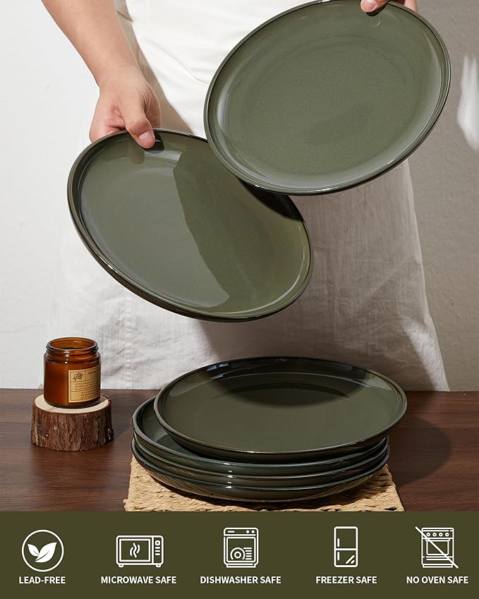 Pokini Ceramic Plate Set 10 Inch, Terracotta Dinner Plates of 6, Microwave Safe Plate, Large Serving Plates for for Salad Pasta Steak, Blackish Green
