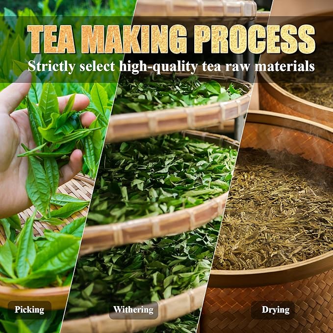 Organic White Tea Mini Brick (36 Packs, 5g Each) - Premium Shou Mei Small Square Discs, Individually Wrapped | Low Caffeine, No Bitterness | Hot or Iced, Perfect for Travel & Office