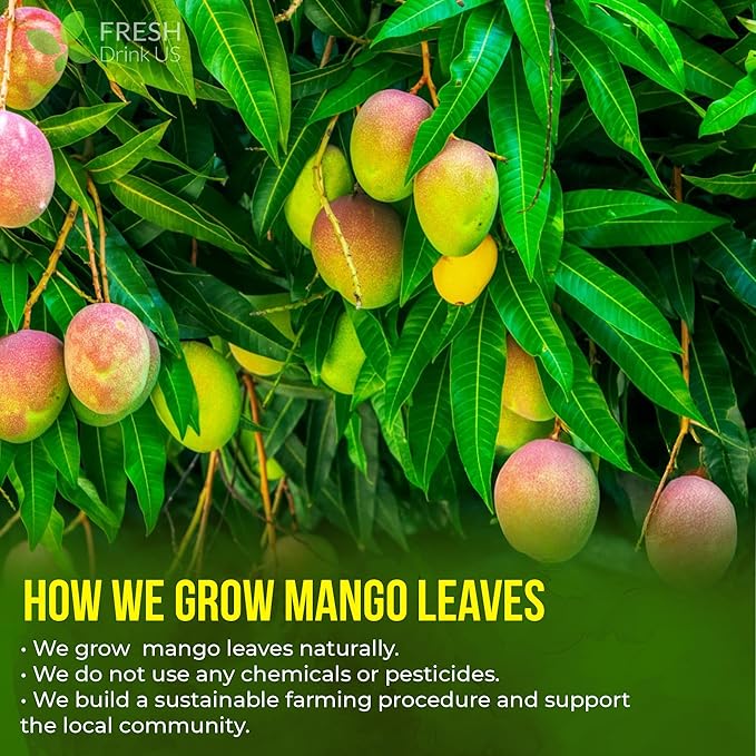 FreshDrinkUS, Premium 40 Mango Leaf Tea Bags, 100% Natural& Pure from Mango Leaves. Herbal Tea. No Sugar, No Caffeine, No Gluten, Vegan.