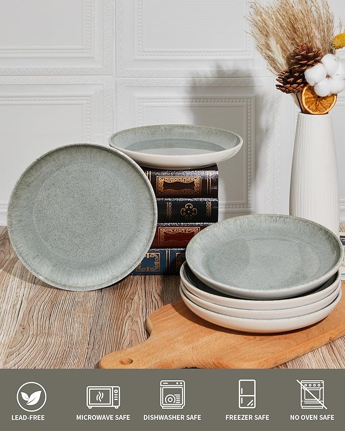 Pokini Ceramic Plates, 8.0 Inch Round Stoneware Salad Plates Use for Dessert, Salad, Appetizer, Microwave and Dishwasher Safe, Scratch Resistant Small Dinner Plate of 6