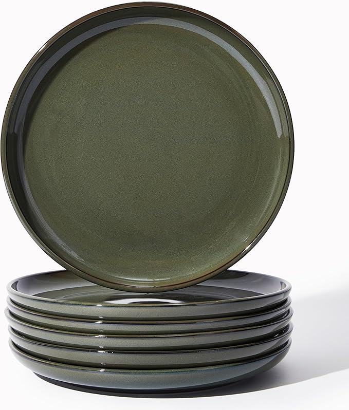 Pokini Ceramic Plate Set 10 Inch, Terracotta Dinner Plates of 6, Microwave Safe Plate, Large Serving Plates for for Salad Pasta Steak, Blackish Green