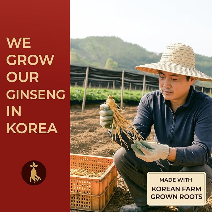 SAMSIDAE Korean Panax Red Ginseng Instant Tea, Box of 50 Sachets, Improves Blood Circulation, Intellectual Performances and Memory, stimulates Energy