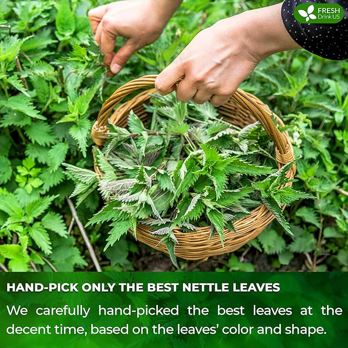FreshDrinkUS, Premium 75 Nettle Leaf Tea Bags, 100% Natural & Pure, Stinging Nettle Leaf Tea, Burn Nettle, Stinging Nettle, Stinger Tea, No Sugar/Caffeine/Gluten, Vegan