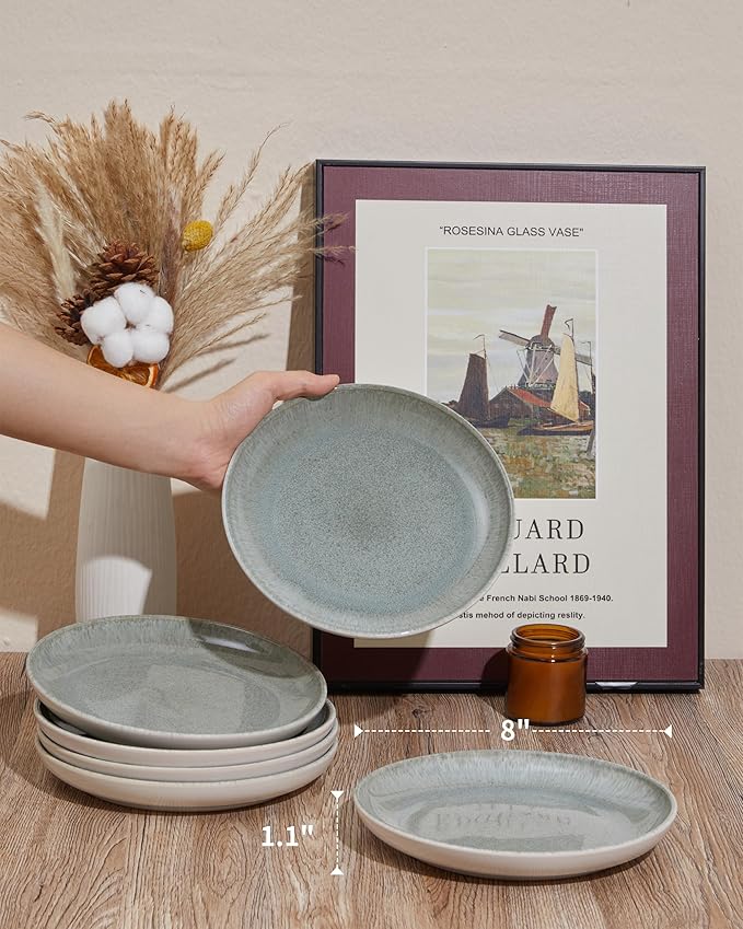 Pokini Ceramic Plates, 8.0 Inch Round Stoneware Salad Plates Use for Dessert, Salad, Appetizer, Microwave and Dishwasher Safe, Scratch Resistant Small Dinner Plate of 6