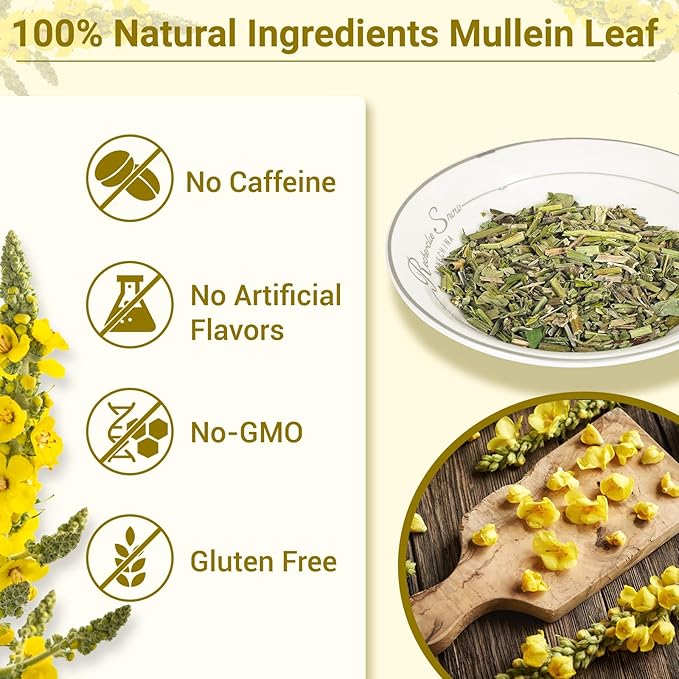 Mullein Tea Bags for Lungs, 100% Pure Mullein Leaf Tea for Lungs Cleanse and Respiratory Support, Caffeine Free, No Additives, Non-GMO (1 Pack/50 Bags)