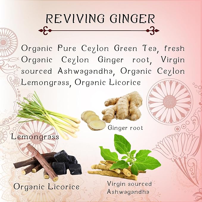 TERAPY Ceylon Ginger and Honey Tea – Premium Blend of Organic Ginger, Wild Bee’s Honey, Ashwagandha, and Lemongrass – Honey Citron Tea Bags for Digestive Wellness Immunity and Daily Vitality – 20 Bags