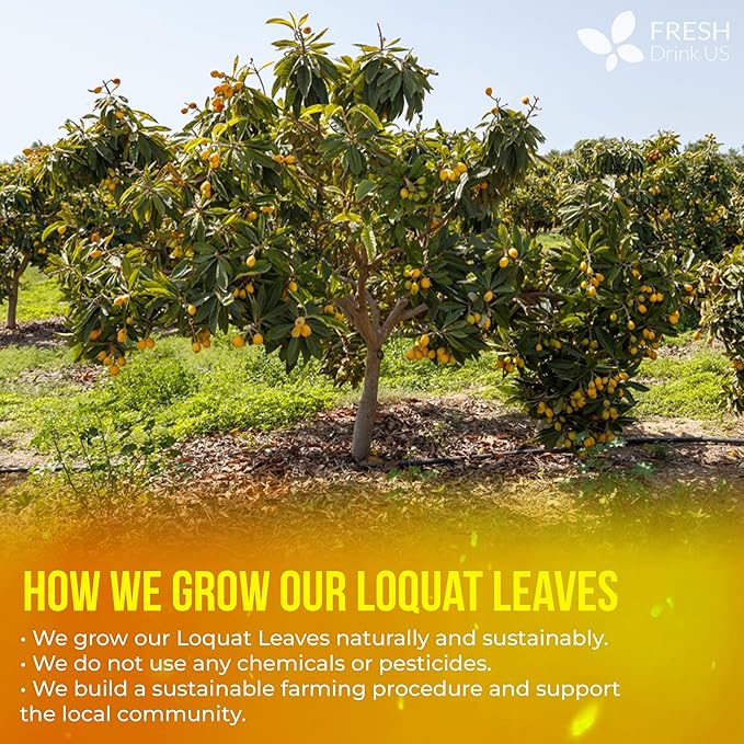 FreshDrinkUS, Premium 8oz Loquat Leaves | Dried Loquat Loose Leaf Tea | Eriobotrya japonica | Naturally Dried, Cut & Sifted | Herbal Tea Ingredient. Sugar-Free. Caffeine-Free. Vegan
