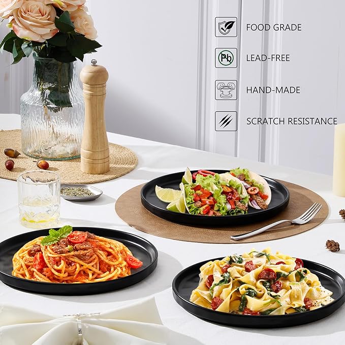 LIANYU Ceramic Dessert Plates Set of 6, 10.2 Inch Dinner Appetizer Plates for Kitchen Dining, Porcelain Round Plate Serving Cake Bread Salad Snack, Microwave & Dishwasher Safe, Obsidian Black