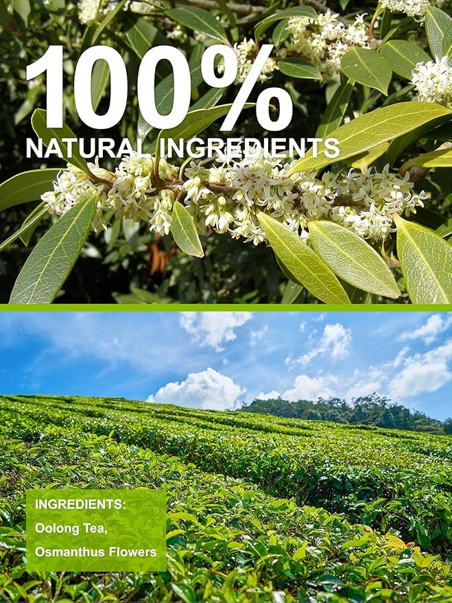 TeeLux Osmanthus Oolong Tea, Oolong Loose Leaf Tea with Osmanthus Flowers, Flavorful & Aromatic, Hot & Iced Tea, 5.3 oz