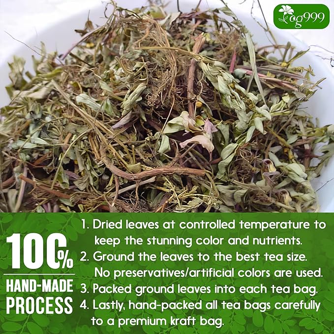 TOG999, Premium 60 Chanca Piedra Leaf Tea Bags, 100% Natural & Pure from Chanca Piedra Leaves. Loose Leaf Chanca Piedra Herbal Tea. Made with Natural Material Tea Bags. No Sugar, No Caffeine, No Gluten, Vegan.
