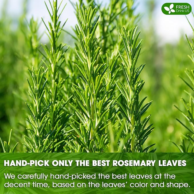 FRESHDRINKUS, Premium 100 Rosemary Leaf Tea Bags, 100% Natural and Pure Rosemary Dried Leaves, Pure Rosemary Herbal Tea, No Additives, No Caffeine, No Gluten, Vegan.