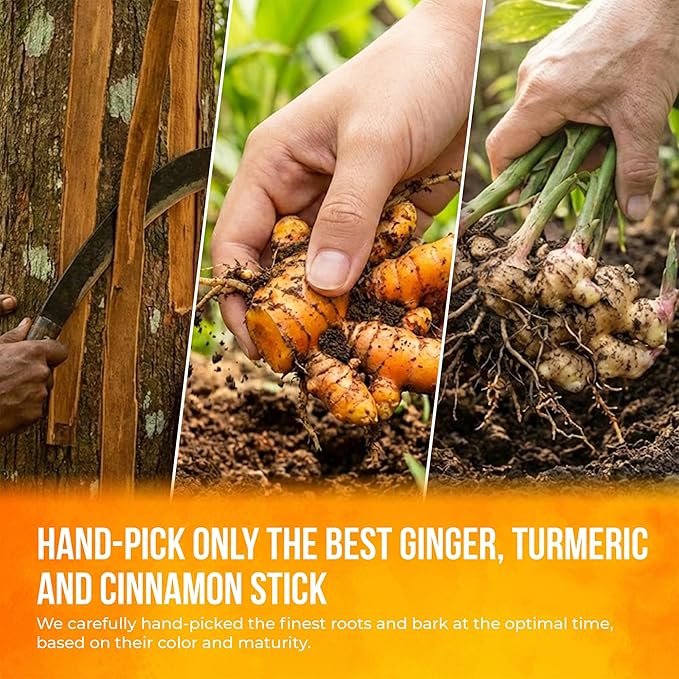 FreshDrinkUS, Premium Turmeric Ginger Cinnamon Tea Bags | 75 Tea Bags | Herbal Spice Tea Blend, Naturally Caffeine Free, Warm & Aromatic Flavor, 100% Natural Ingredients, Convenient Tea Bags