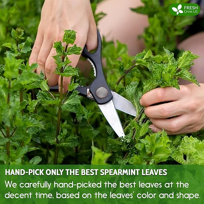 FreshDrinkUS, Premium 135 Spearmint Tea Bags, 100% Natural & Pure from Spearmint Leaves. Loose Leaf Spearmint Herbal Tea. Made with Natural Material Tea Bags. No Sugar, No Caffeine, No Gluten, Vegan.