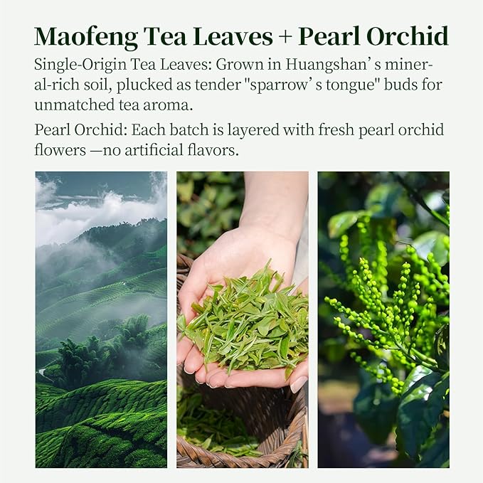 HANFANGLING Pearl Orchid Green Tea Huangshan Maofeng Green Tea Fresh And Refreshing Loose-Leaf