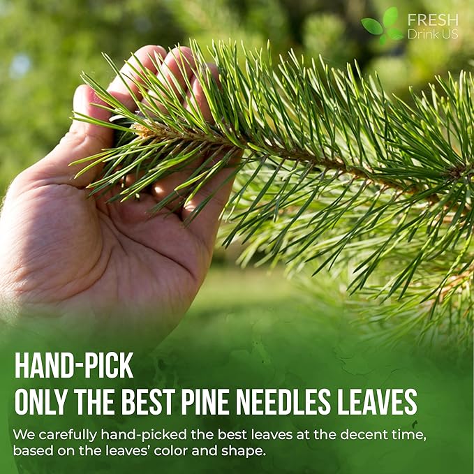 FreshDrinkUS, Premium 8oz Pine Needle Leaves Herbal Tea – Dried Loose Leaf Pine Needles – Naturally Fresh & Aromatic Caffeine-Free Herbal Tea. Sugar-Free. Vegan