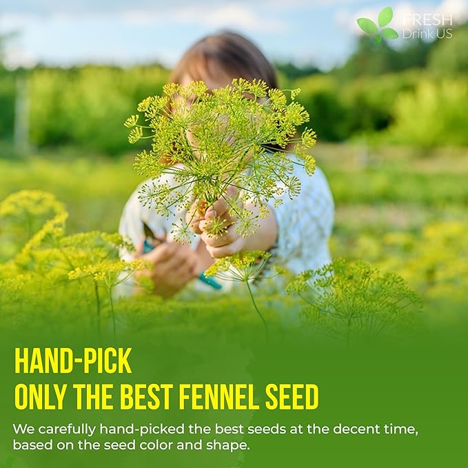 FreshDrinkUS, Premium 135 Fennel Tea Bags, 100% Natural & Pure from Fennel Seeds. Made with Natural Material Tea Bags. No Sugar, No Caffeine, No Gluten, Vegan.