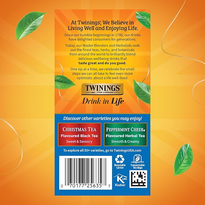 Twinings Winter Spice Herbal Tea Individually Wrapped, 20 Count (Pack of 6), Includes Camomile, Apple, Cinnamon, & Clove, Caffeine-Free, Enjoy Hot or Iced