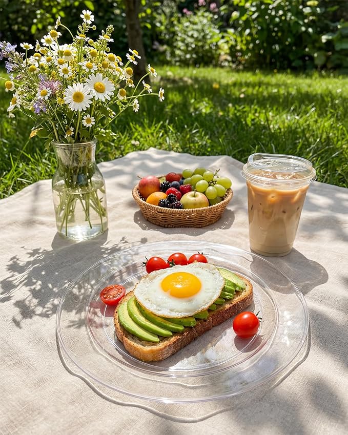 bUCLA 100Pieces Clear Plastic Plates -10.25inch Disposable Dinner Plates- Premium Weddings& Party Plates