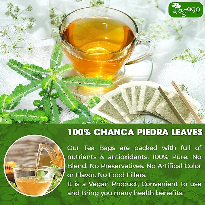 TOG999, Premium 60 Chanca Piedra Leaf Tea Bags, 100% Natural & Pure from Chanca Piedra Leaves. Loose Leaf Chanca Piedra Herbal Tea. Made with Natural Material Tea Bags. No Sugar, No Caffeine, No Gluten, Vegan.