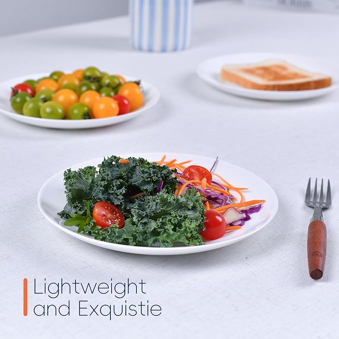 LaGlint 8.5 inch Salad Plate Set of 6, Lightweight Opal Glass Round White Plates for Appetizer Dessert Kitchen, Dishwasher and Microwave Safe