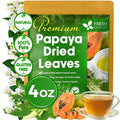 FreshDrinkUS, Premium 4oz Papaya Leaves For Tea, 100% Natural & Pure from Papaya Leaves. Loose Leaf Herbal Tea. Made with Natural Material Tea Bags. No Sugar, No Caffeine, No Gluten, Vegan.