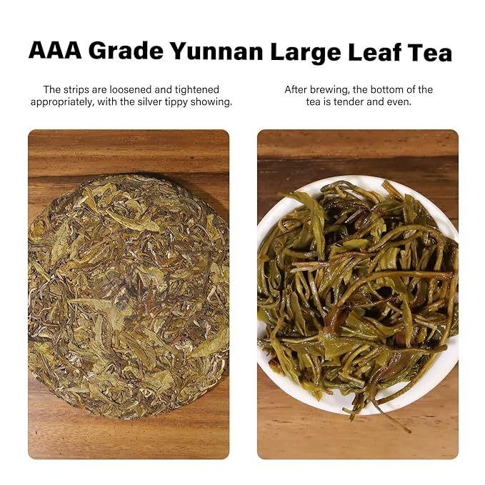 YUANSHENG Organic Raw Puerh Tea, Aged Fermented Organic Pu-erh tea, Natural Yunnan Ancient Tree Pu erh Tea whit Sweet and Smooth Flavor, No Fishy, 5.29 Oz