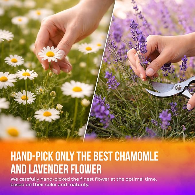 FreshDrinkUS, Premium 135 Chamomile Lavender Tea Bags, 100% Natural Herbal Ingredients, Hand-made Blend of Chamomile Lavender Flowers, Eco-conscious Tea Bags. No Sugar, No Caffeine, No Gluten, Vegan