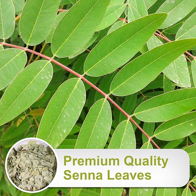 TEARELAE - Senna Tea, Hojas de Sen - Premium Indian Senna Leaves Tea Bags,1.5g x 64 Count - Relieve Constipation, Aid in Digestion - Caffeine-Free, Non-GMO