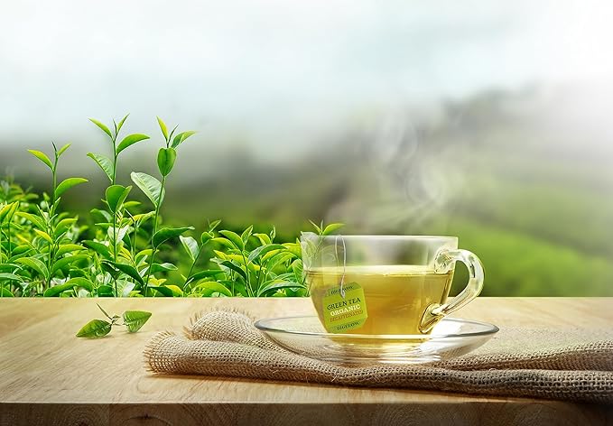 Bigelow Tea Organic Decaffeinated Green Tea, Decaf Organic Green Tea Bags, 40 Count Box (Pack of 6), 240 Total Tea Bags