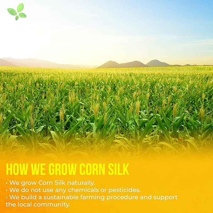 FreshDrinkUS, Premium 40 Tea Bags Corn Silk Tea, 100% Natural & Pure from Corn Silk. Corn Silk Herbal Tea. Clean Ingredients. Made with Natural Material Tea Bags. No Sugar, No Caffeine, Vegan.