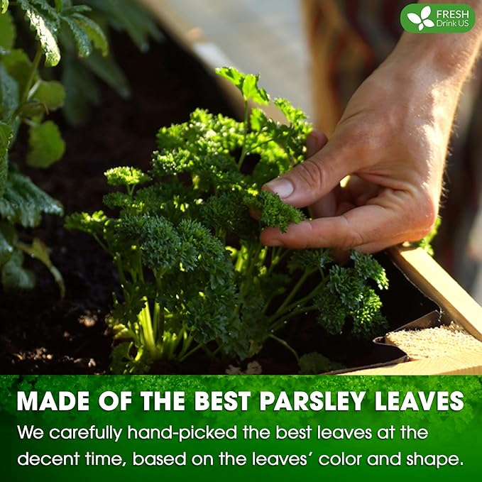 Premium 75 Parsley Leaf Tea Bags, 100% Natural & Pure from Parsley Leaves. Loose Leaf Parsley Herbal Tea. Parsley Leaf Tea. Made with Natural Material Tea Bags. No Sugar, No Caffeine, No Gluten, Vegan.