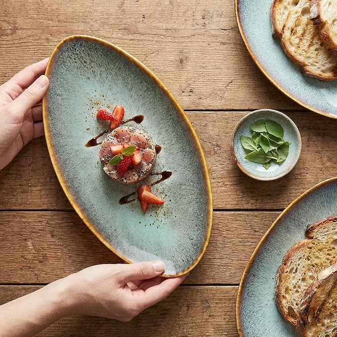 Ceramic Dinner Plates Set of 4, for Bread, Pasta, Salad, sushi - Microwave, Oven and Dishwasher Safe, Scratch Resistant durable Brown Brown reactive glaze