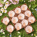 SiliFine 12 Pcs Wedding Favors for Guests Small Ceramic Bowl Bulk Gifts Set 3.3 Inch Floral Design Mini Dipping Sauce Dish with Card Box for Bridal Pooja Baby Shower Birthday (Flower,Pink)