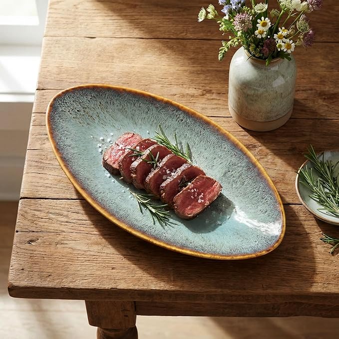 Ceramic Dinner Plates Set of 4, for Bread, Pasta, Salad, sushi - Microwave, Oven and Dishwasher Safe, Scratch Resistant durable Brown Brown reactive glaze