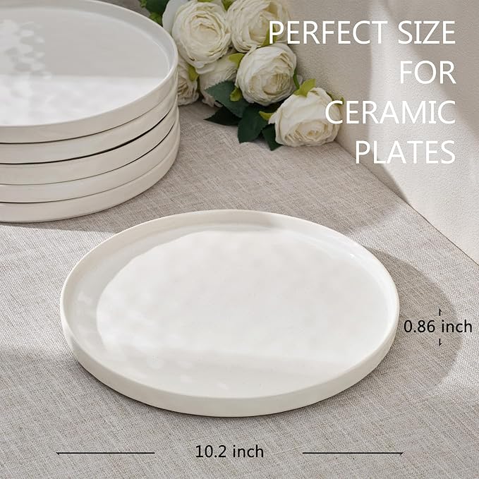 LIANYU Dinner Plates Set of 6, 10.2 Inch Large Ceramic Dessert Plate for Kitchen, Porcelain Serving Dishes for Salad Appetizer Cake Bread, Scratch Resistant, Microwave & Dishwasher Safe, Polar White