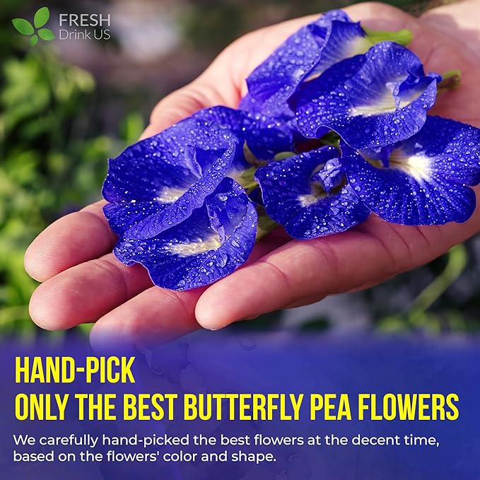 FreshDrinkUS, Premium 100 Blue Butterfly Pea Flowers Tea Bags, 100% Natural and Pure from Butterfly Pea Flowers, Made With Natural Material Tea Bag, No Sugar, No Caffeine, No Gluten, Vegan