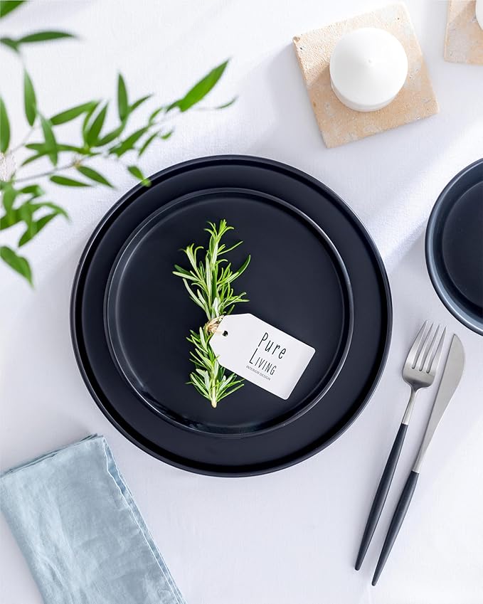 Stoneware Dinner Plates Set - Matte Black, 10.2" Lipped Edges, Dishwasher & Microwave Safe