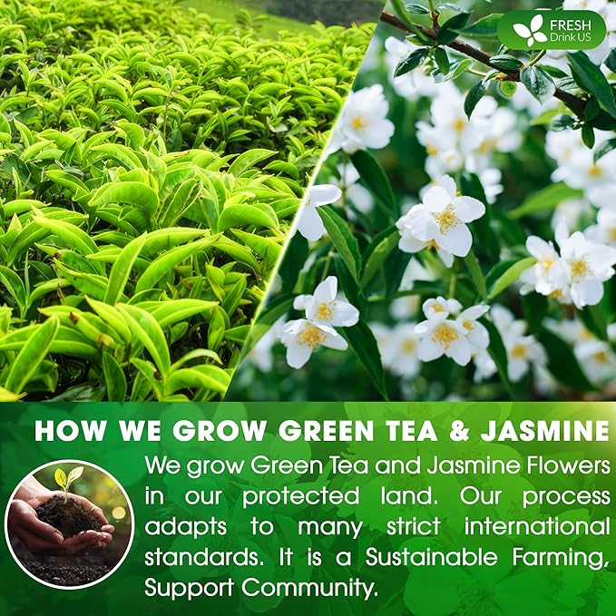 FreshDrinkUS, Premium 135 Jasmine Green Tea Bags, 100% Natural & Pure from Jasmine Green Herbal Tea. Made with Natural Material Tea Bags. No Sugar, No Caffeine, No Gluten, Vegan.