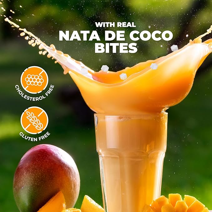 JANS - COCONUT MILK DRINK (with NATA DE COCO) MANGO 9.8 OZ (Pack of 1, Mango)