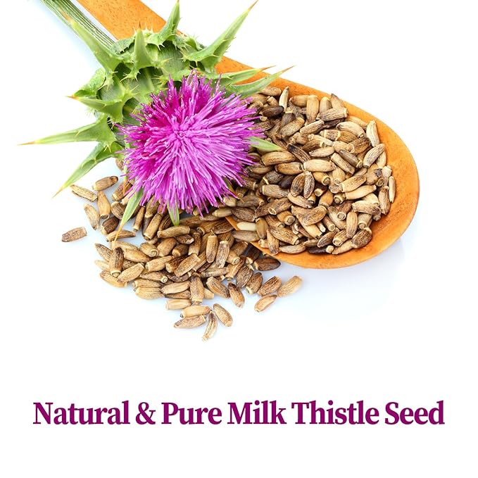 FullChea - Milk Thistle Tea Bags, 40 Teabags, 3g/Bag - Natural Milk Thistle Seed (Pack of 2)