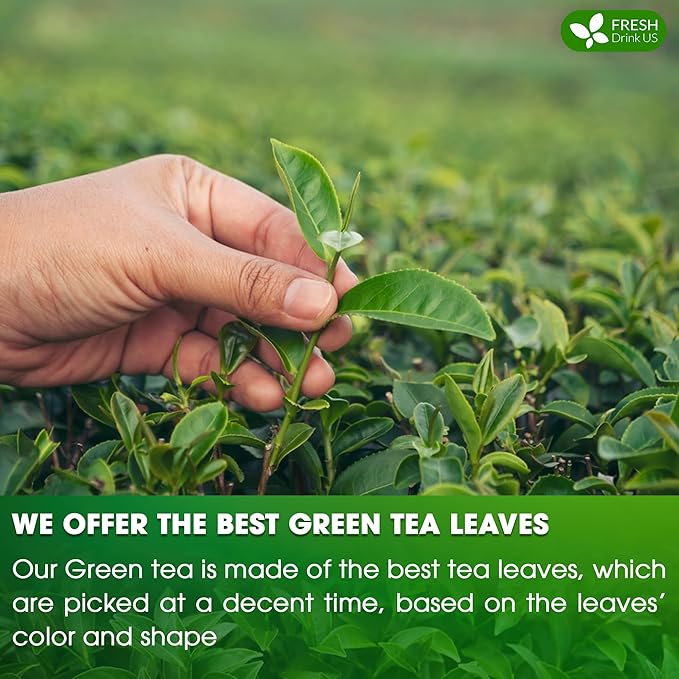FreshDrinkUS, Premium 175 Green Tea Bags, 100% Natural & Pure from Green Tea Leaves. Loose Leaf Green Tea Herbal Tea. Made with Natural Material Tea Bags. No Sugar, No Caffeine, No Gluten, Vegan.