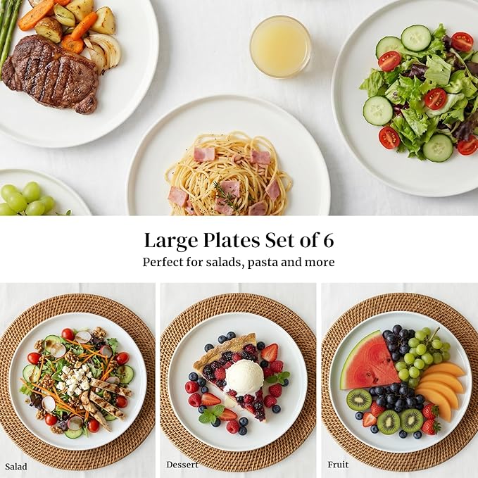 DOWAN 10" Porcelain Dinner Plates Set of 6, Ceramic White Dessert Plates Set for Salad, Pasta, Steak - Appetizer Plates, Dining Plates for Parties, Restaurant - Dishwasher & Microwave Safe - Gifts