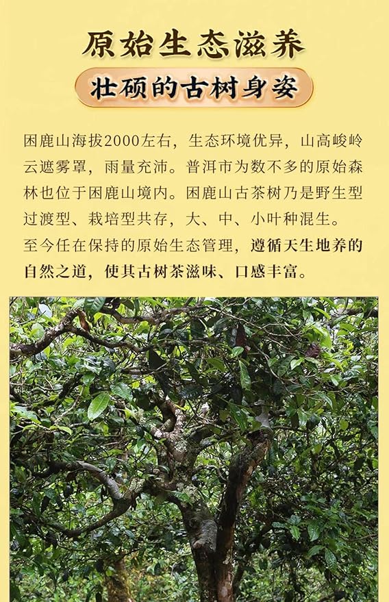 Pu-Erh tea,2020,SHENG JIA YUAN,困鹿山 Sleepy Deer Mountain,357g,Raw