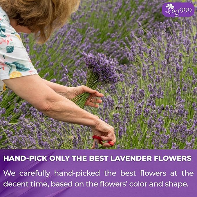 TOG999, Premium 120 Lavender Flower Tea Bags, 100% Natural & Pure. Loose Flower Lavender Herbal Tea. No Sugar, No Caffeine, No Gluten, Vegan.